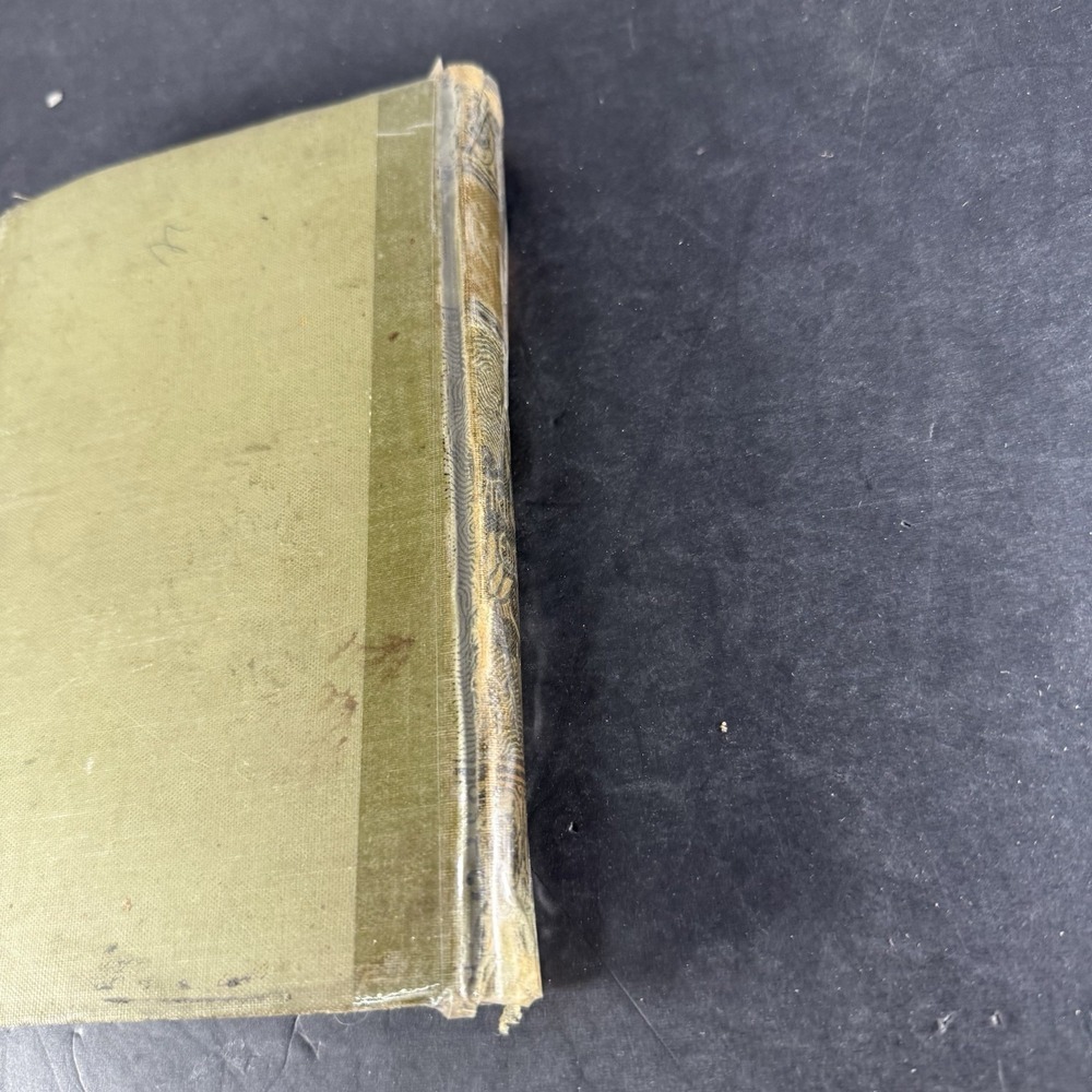 Edgar Allen Poe Arlington Edition Memoir Of The Poet 1882 Hardcover Book Poems - Picture 16 of 16